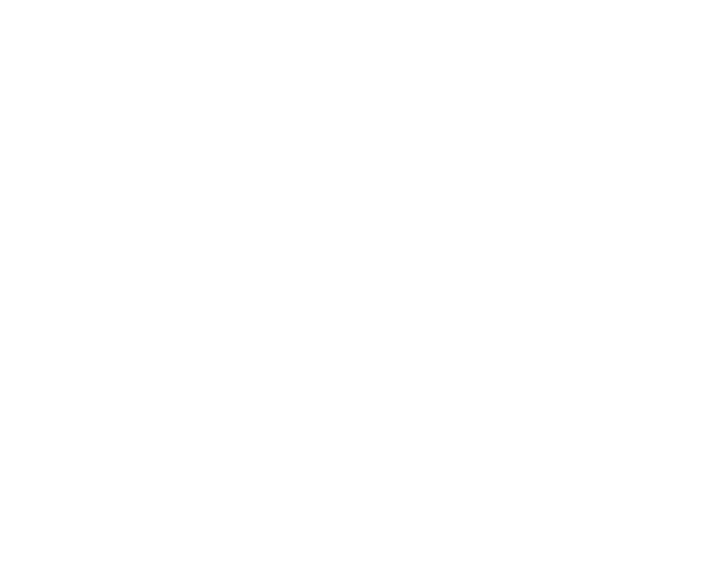 BurnerFire - Logo - white